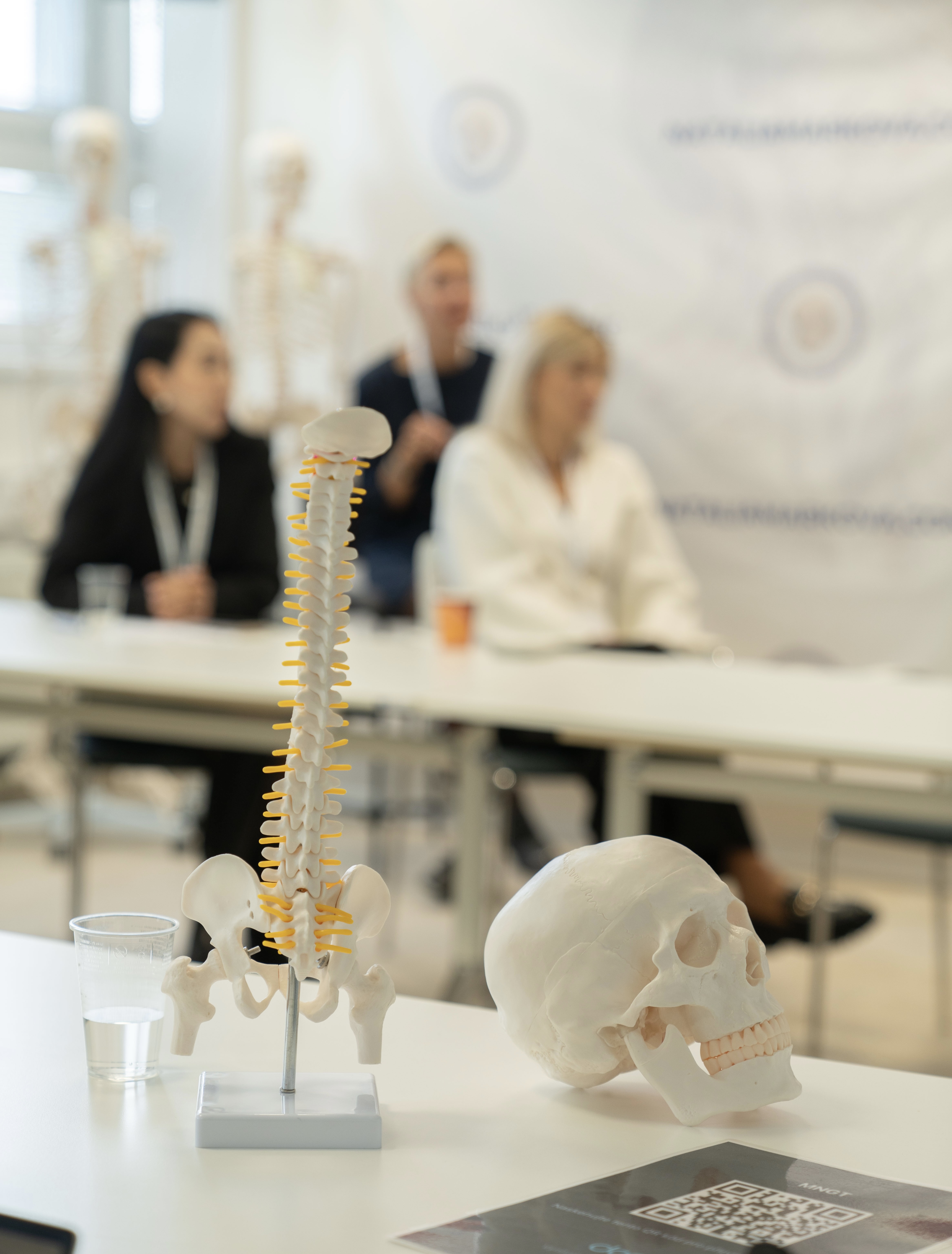 Нижняя треть лица: анатомия, возрастные изменения и клинические стратегии коррекции. Почему эта зона стареет быстрее и сложнее всего?